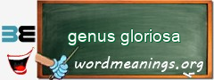 WordMeaning blackboard for genus gloriosa